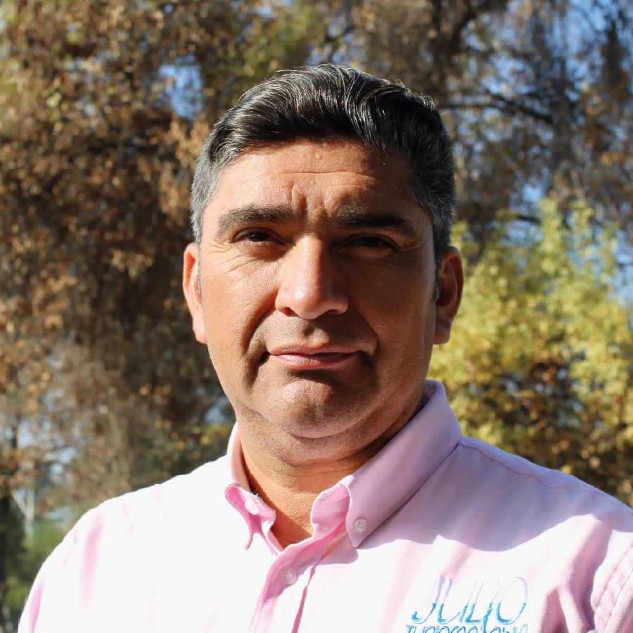 Julio Aravena Bravo