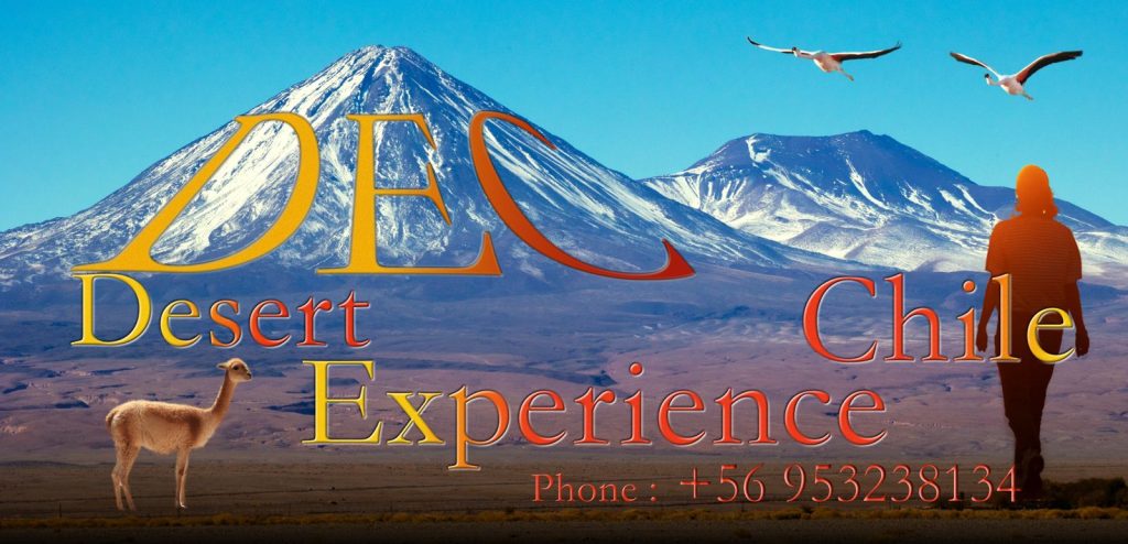 Dec Desert Experience